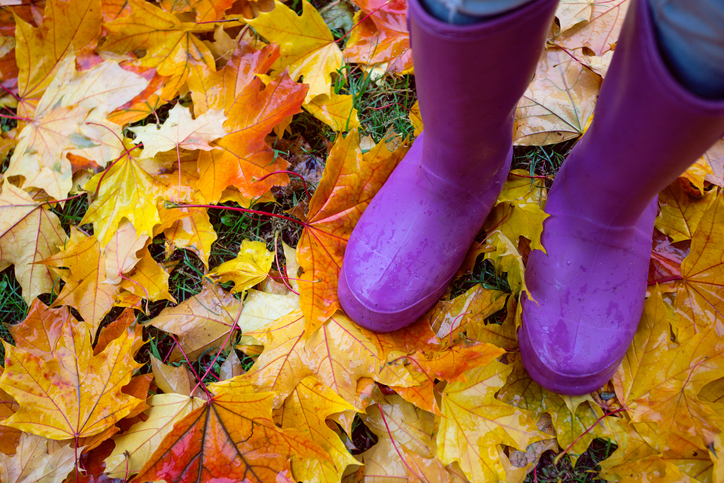 autumn mood - feet in gumboots against a background of colorful maple leaves